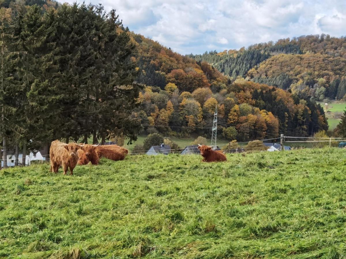 Ferienhaus Waldblick Hohenfels-Essingen Экстерьер фото