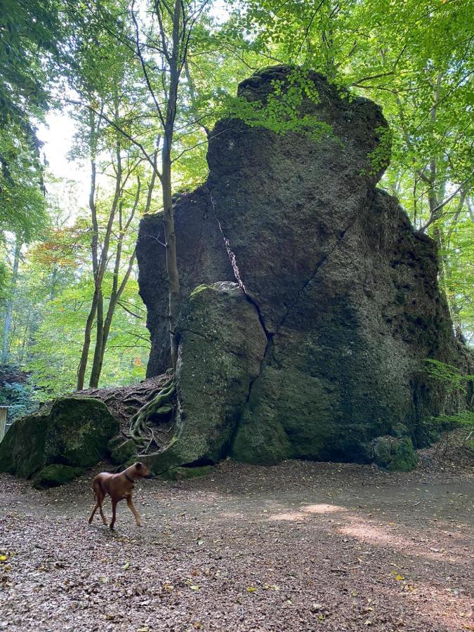 Ferienhaus Waldblick Hohenfels-Essingen Экстерьер фото